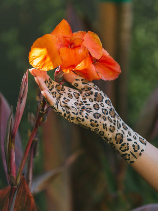 jaguar handschuhe Jaguar – Nancy Hassett