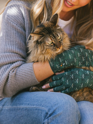 Pounce